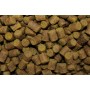 Pellets ProElite Baits Sweet Dreams Gold 6mm 1kg