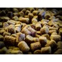 Pellets ProElite Baits Sweet Dreams Gold 6mm 1kg