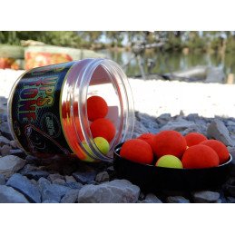 Fluor Pop-Ups ProElite Baits Robin Red 14/20mm