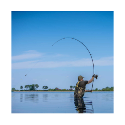 Canne Avid Carp Revolve 10' 3.5lb (anneau de 40mm)