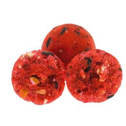 Bouillettes Classic Fun-Fishing Strawberry & Coconut 4kg 20mm
