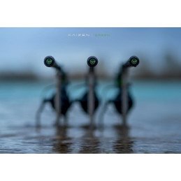 Canne Kaïzen Green Korda 50mm 13' 4lb