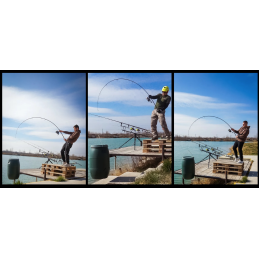 Canne CarpOn Voyager Pro 12' 3.25lb
