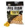 Bouillettes Dynamite Baits Sweet Tiger & Corn 20mm 1.8kg