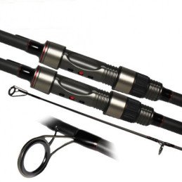 Canne CarpOn Carp CR-02 10’ 3.25lbs (x2)