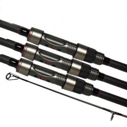 Canne Carptour Carp CR-02 13’ 3.5lbs (x3)