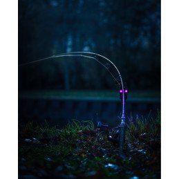 Canne Carpe X 300 Nash 12' 3lb pack x4