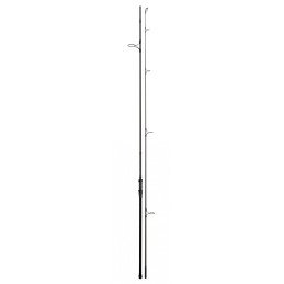 Canne Daiwa Crosscast Carp 10' 3,50lb